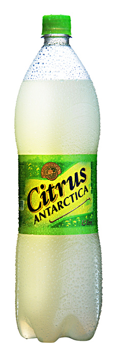 Citrus Antarctica