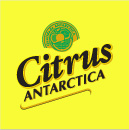 Citrus Antarctica